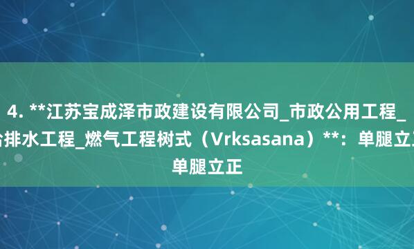 4. **江苏宝成泽市政建设有限公司_市政公用工程_给排水工程_燃气工程树式(Vrksasana)**:单腿立正