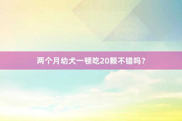 两个月幼犬一顿吃20颗不错吗？