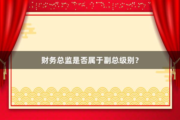 财务总监是否属于副总级别？